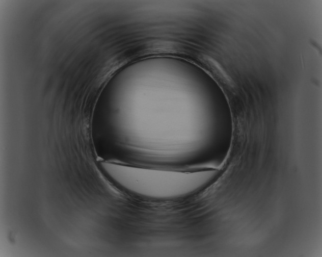 X0000093121225200710171238