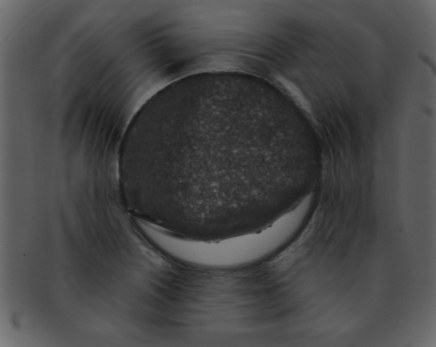 X0000093121226200710171238