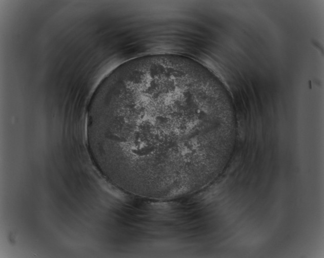 X0000093121227200710171238