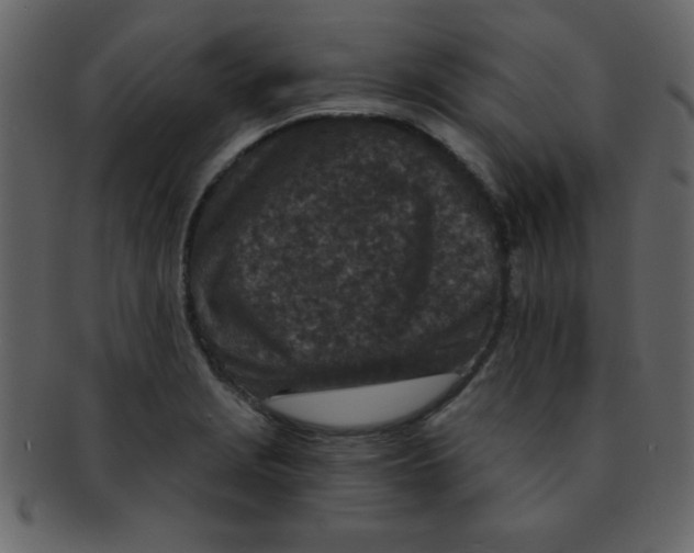 X0000093121229200710171238