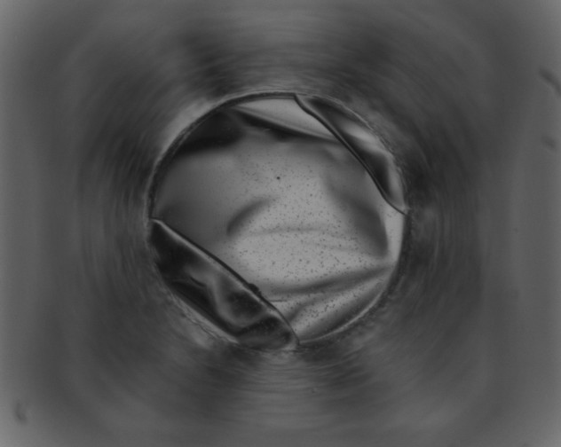 X0000093121230200710171238