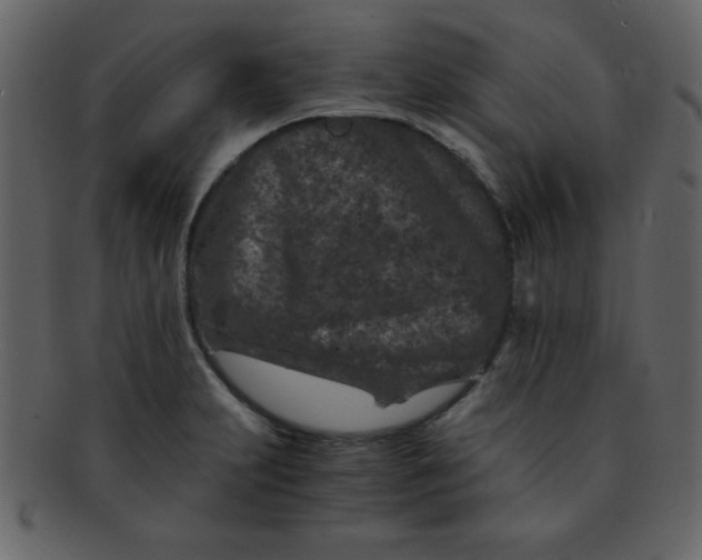 X0000093121231200710171238