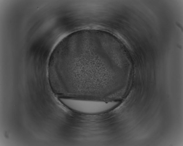 X0000093121232200710171238