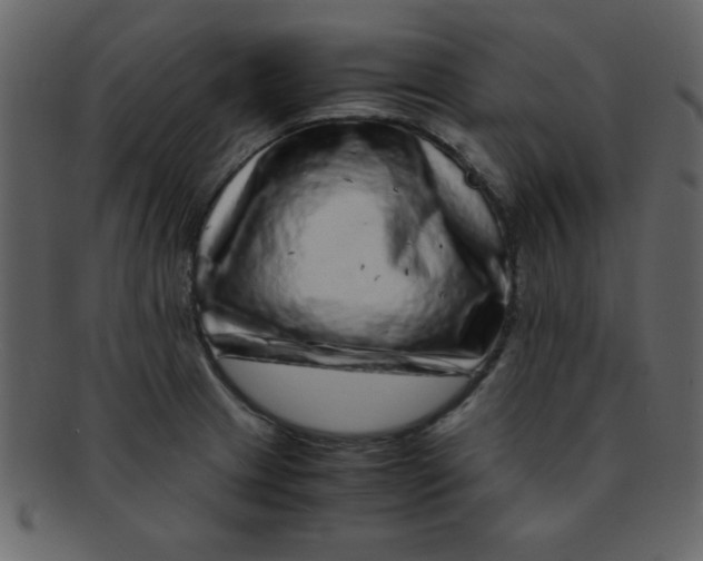 X0000093121233200710171238