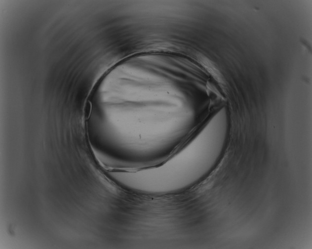 X0000093121234200710171238