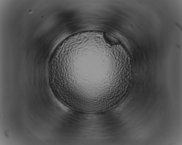 X0000093121235200710171238