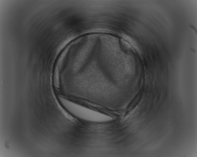 X0000093121237200710171238