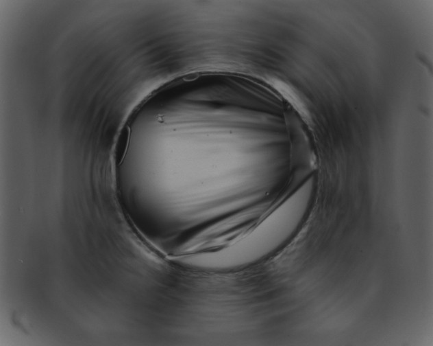 X0000093121238200710171238