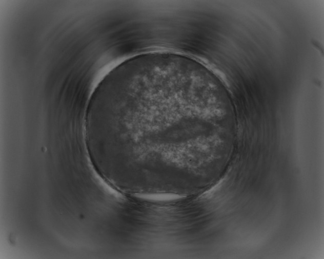 X0000093121239200710171238