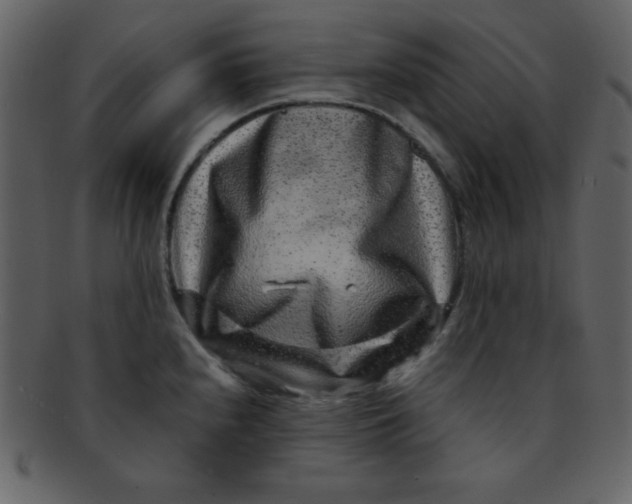 X0000093121240200710171238