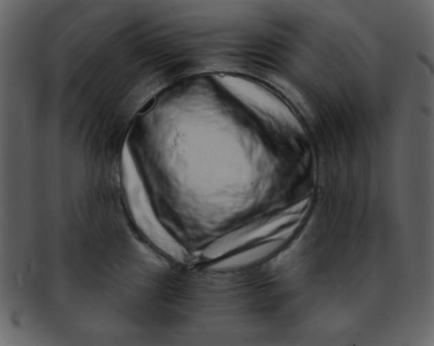 X0000093121241200710171238