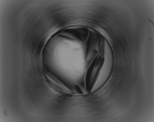 X0000093121242200710171238