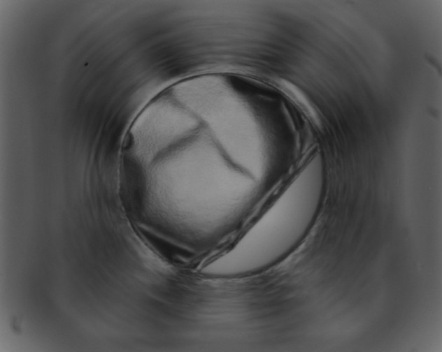 X0000093121244200710171238