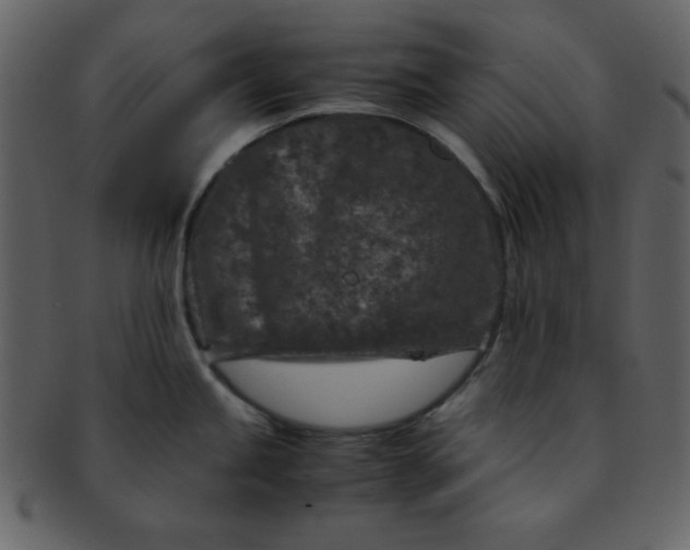 X0000093121245200710171238