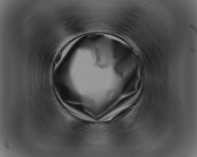 X0000093121246200710171239