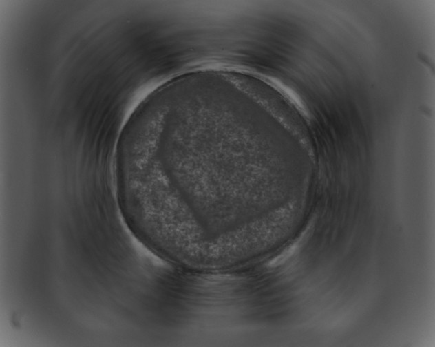 X0000093121247200710171239