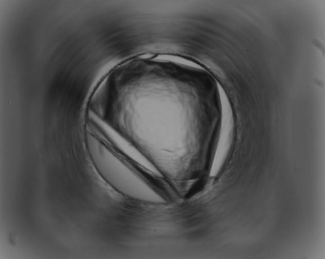 X0000093121248200710171239