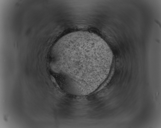 X0000093121249200710171238