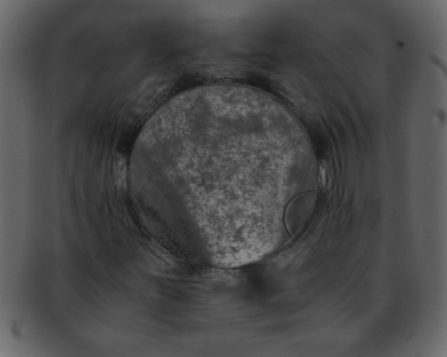 X0000093121251200710171238