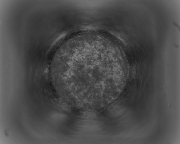 X0000093121254200710171238