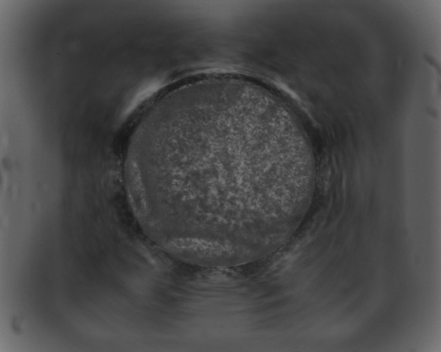 X0000093121255200710171238