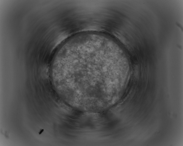 X0000093121258200710171238