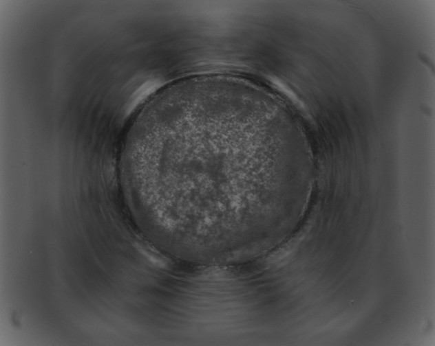 X0000093121259200710171238