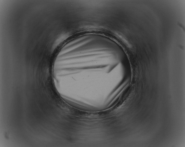 X0000093121261200710171238