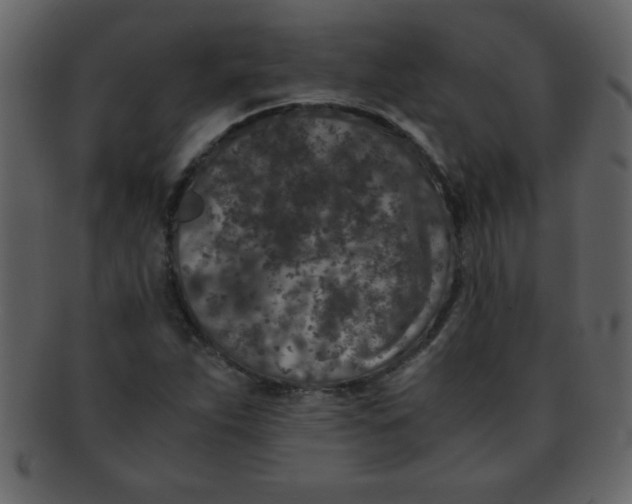 X0000093121263200710171238