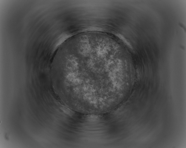 X0000093121266200710171237