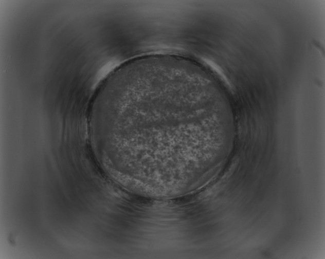 X0000093121267200710171237