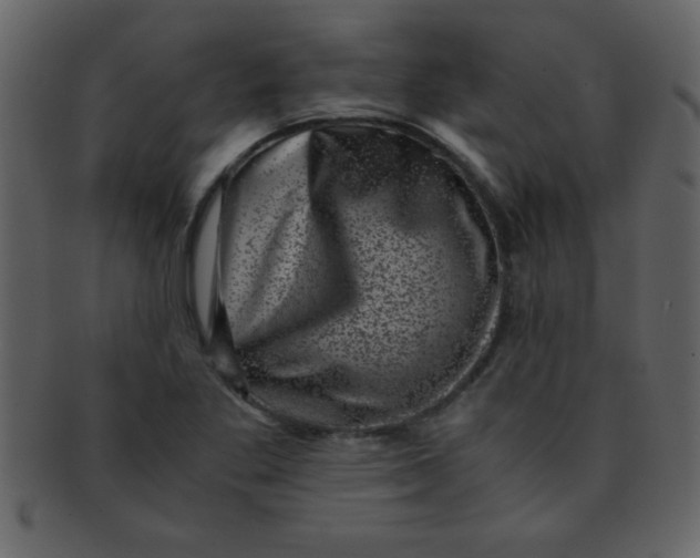 X0000093121269200710171237