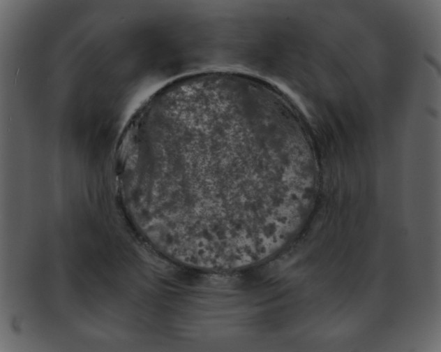 X0000093121271200710171237