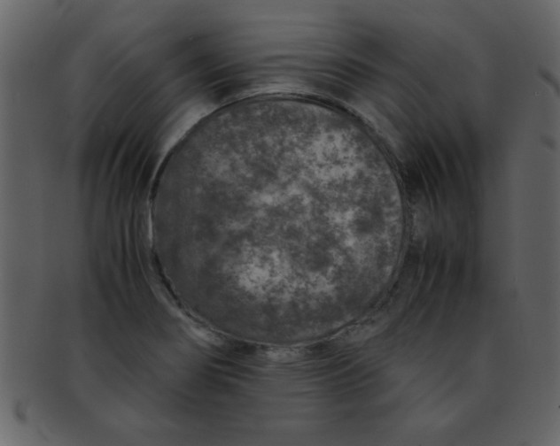 X0000093121274200710171237