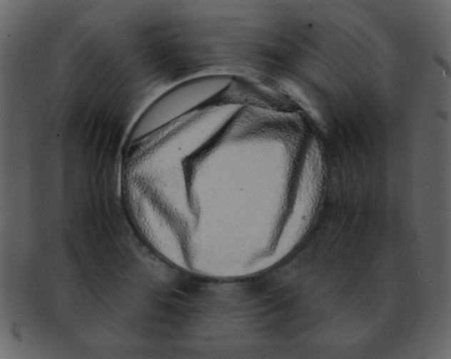 X0000093121276200710171237