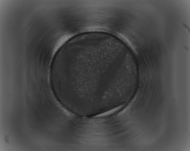 X0000093121277200710171237