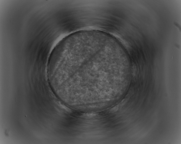 X0000093121278200710171237