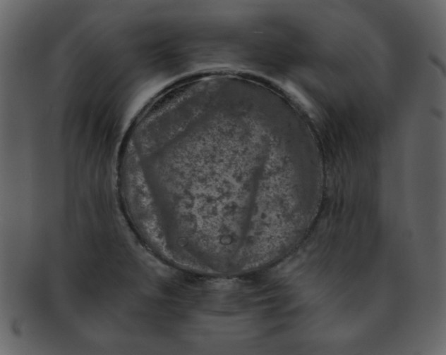 X0000093121279200710171237