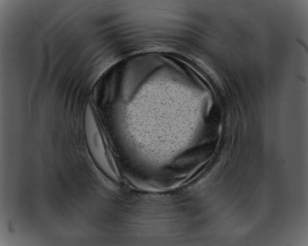 X0000093121281200710171237