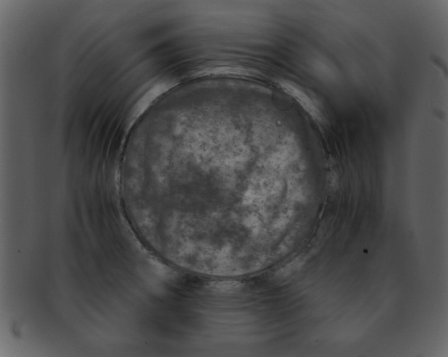 X0000093121282200710171237