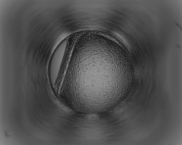 X0000093121283200710171237