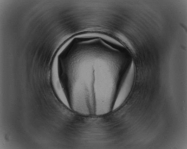 X0000093121284200710171237