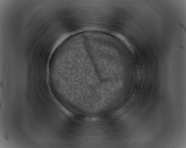 X0000093121286200710171237