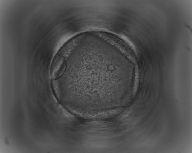 X0000093121287200710171237