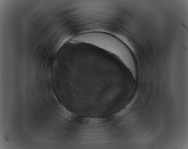 X0000093121289200710171237