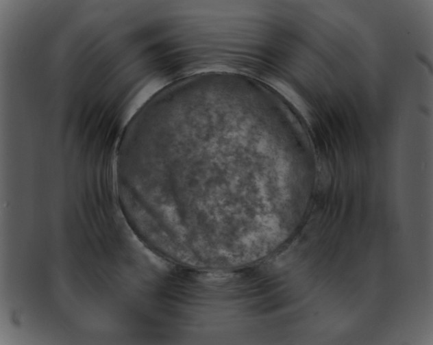 X0000093121290200710171237