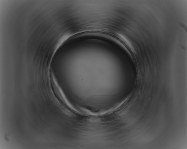 X0000093121291200710171237