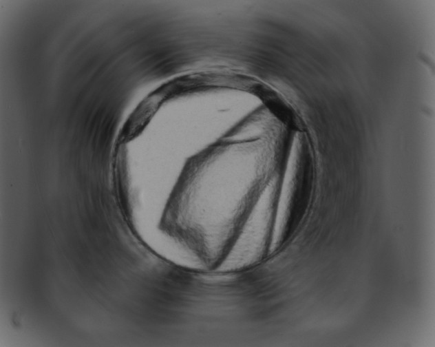 X0000093121296200710171237