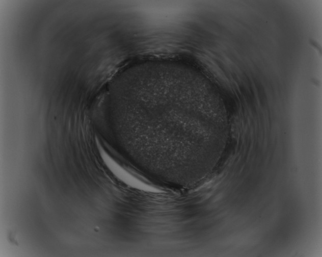 X0000093121298200710171236