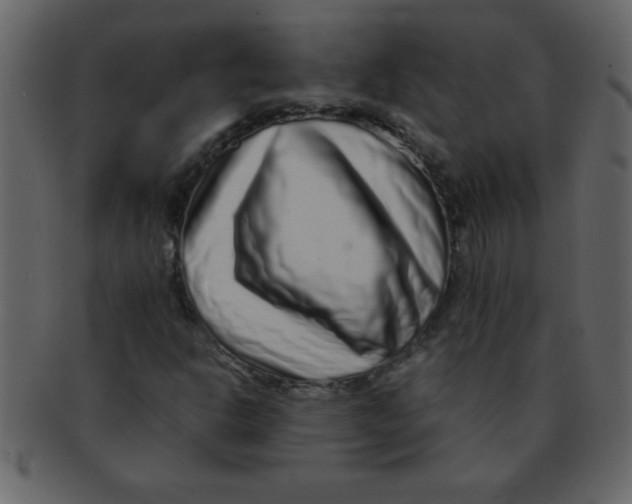 X0000093121302200710171236